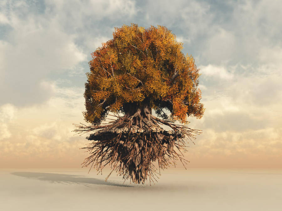 Haced aquí vuestros aportes para el Herbolario Floating_tree_by_lavinia8_d4nngno-fullview