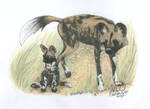 African Wild Dogs by NightTracker