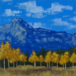 Landscape Study by TetraModal