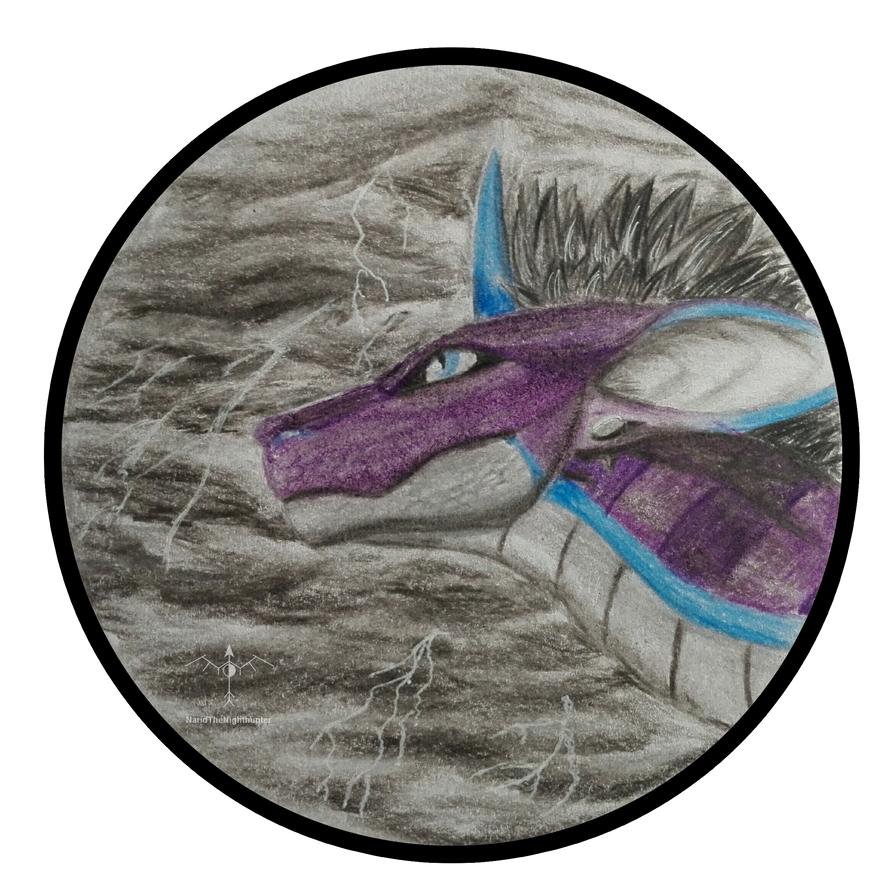 Ameth by NaridTheNighthunter on DeviantArt