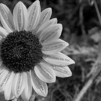 #keywords  Explore keywords on DeviantArt