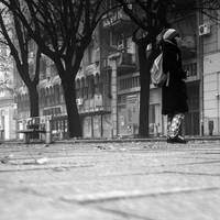 stay by lightsunbulb