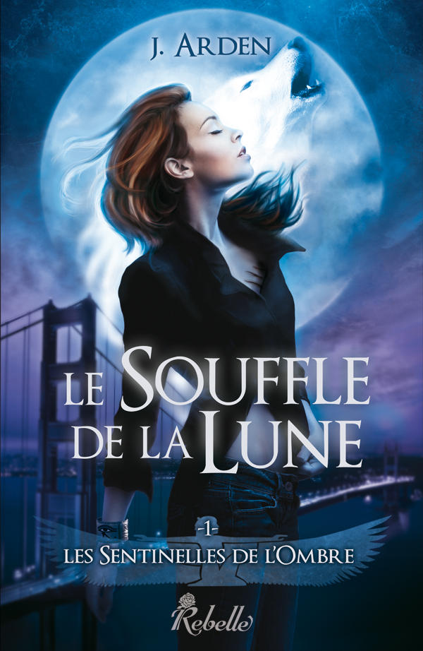 Les sentinelles de l'ombre, T1 by Miesis
