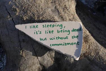 The Joy Of Sleeping by Rhiallom
