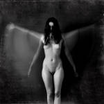 .: Levitation :. by DavidCraigEllis