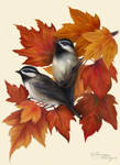 Autumn Symphony by Tammara
