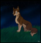 The Koira by Norwlin