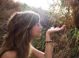 so delicate by shantani