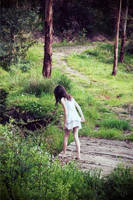 bridged steps by caitlin-may