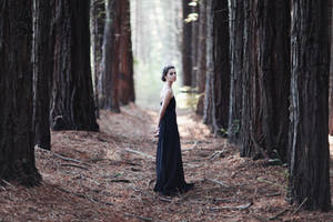 Into the Woods by caitlin-may