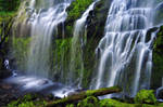 Proxy Falls, Study 2010-4R by greglief
