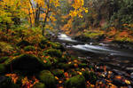 Salmon River, Autumn Study by greglief