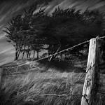 Storm Weather by Pixydream