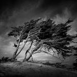 Wind And Wuthering I by Pixydream