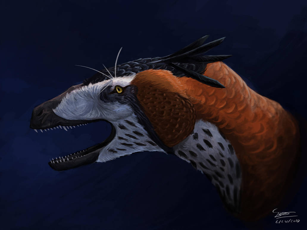 Dko Raptor Dakotaraptor Portrait by BrennanStokkermans on DeviantArt