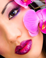 Violet Orchid by OfficialSerenaStar