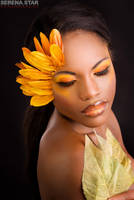 Sunflower by OfficialSerenaStar