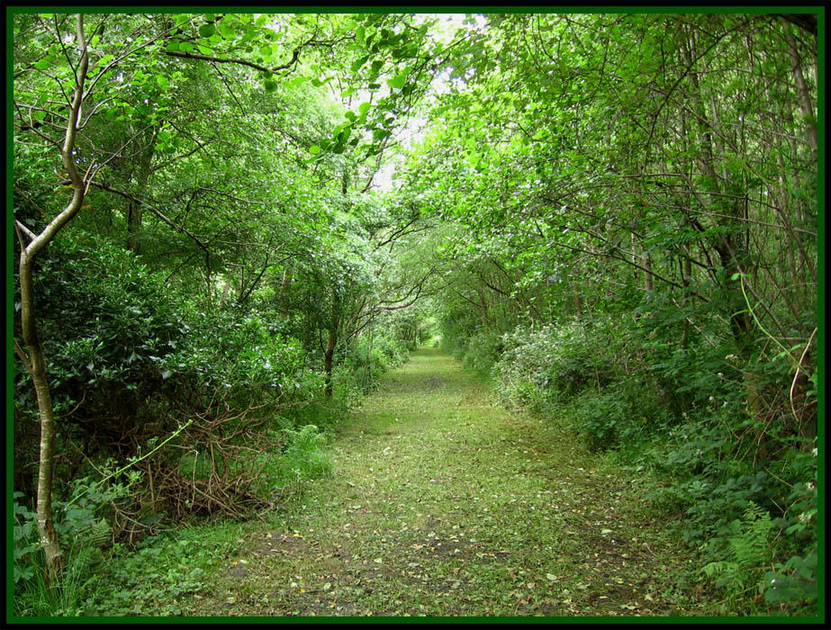 Long Path by aquifer