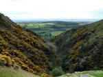 This Is Scotland by alloria-sjg
