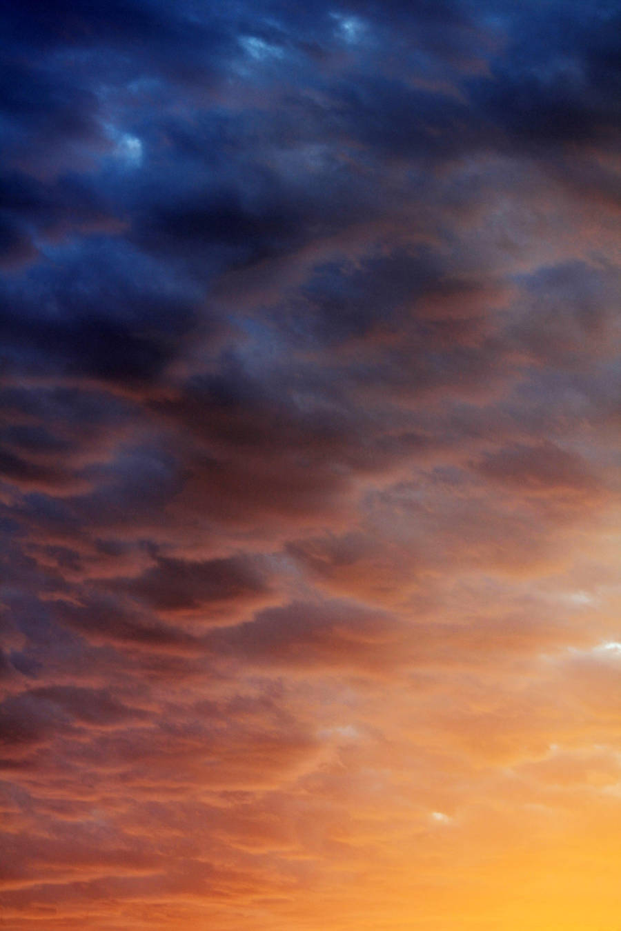 Waves of Color by Thy-Darkest-Hour