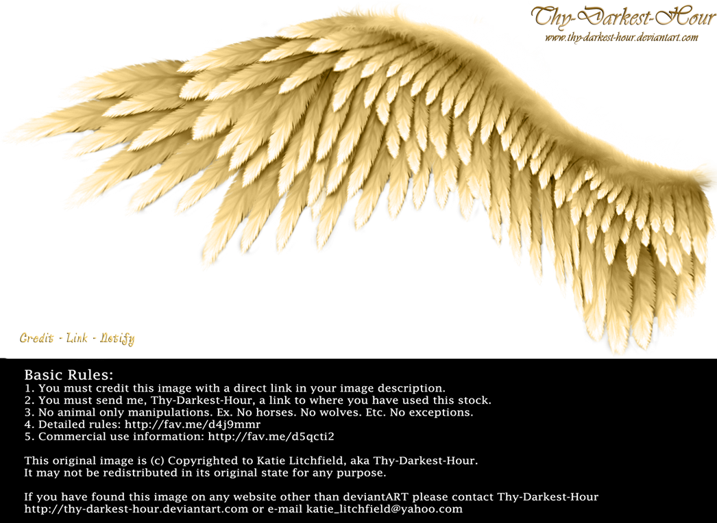 Winged Perfection - Golden by Thy-Darkest-Hour