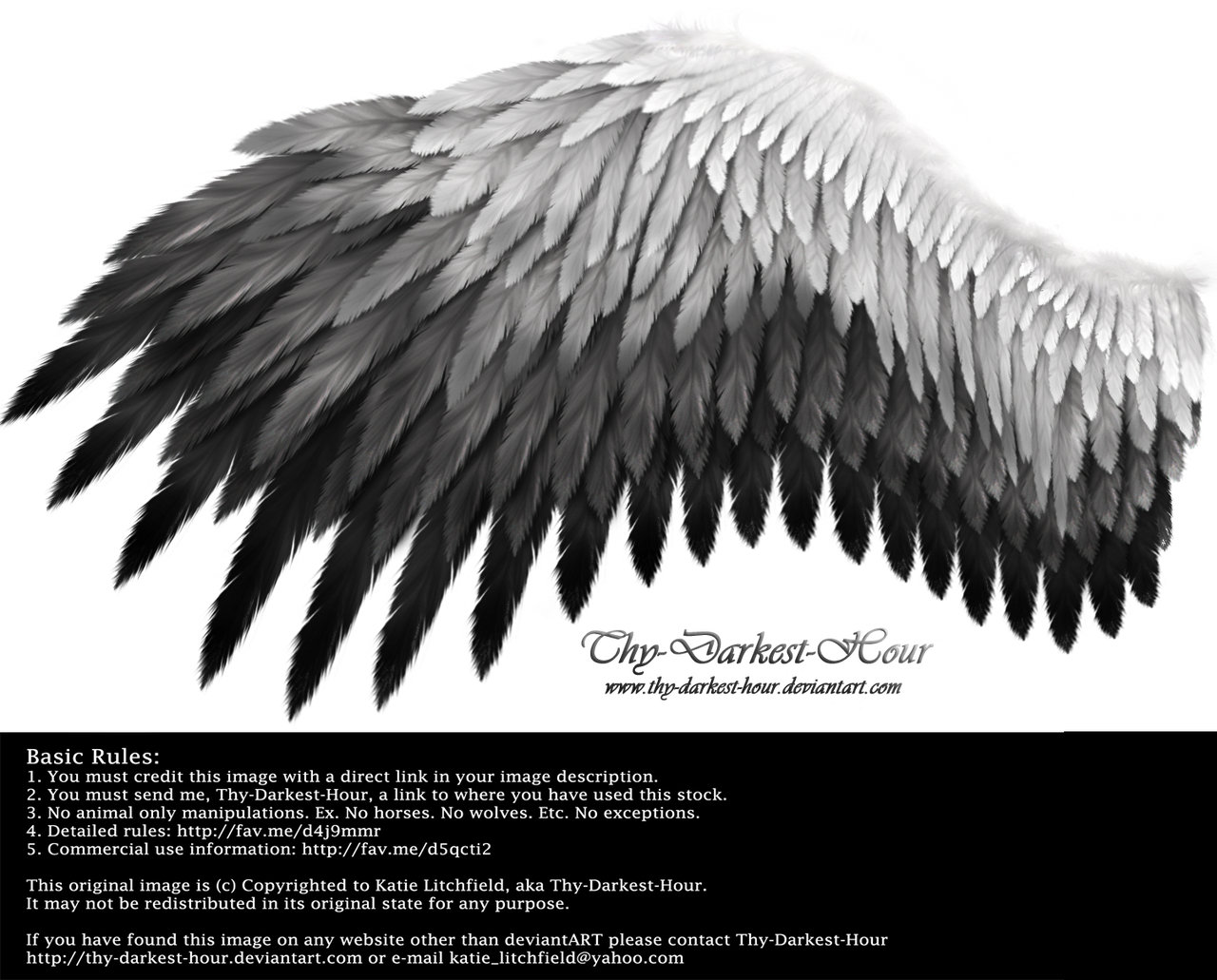 Romantic Wing - White-Black by Thy-Darkest-Hour