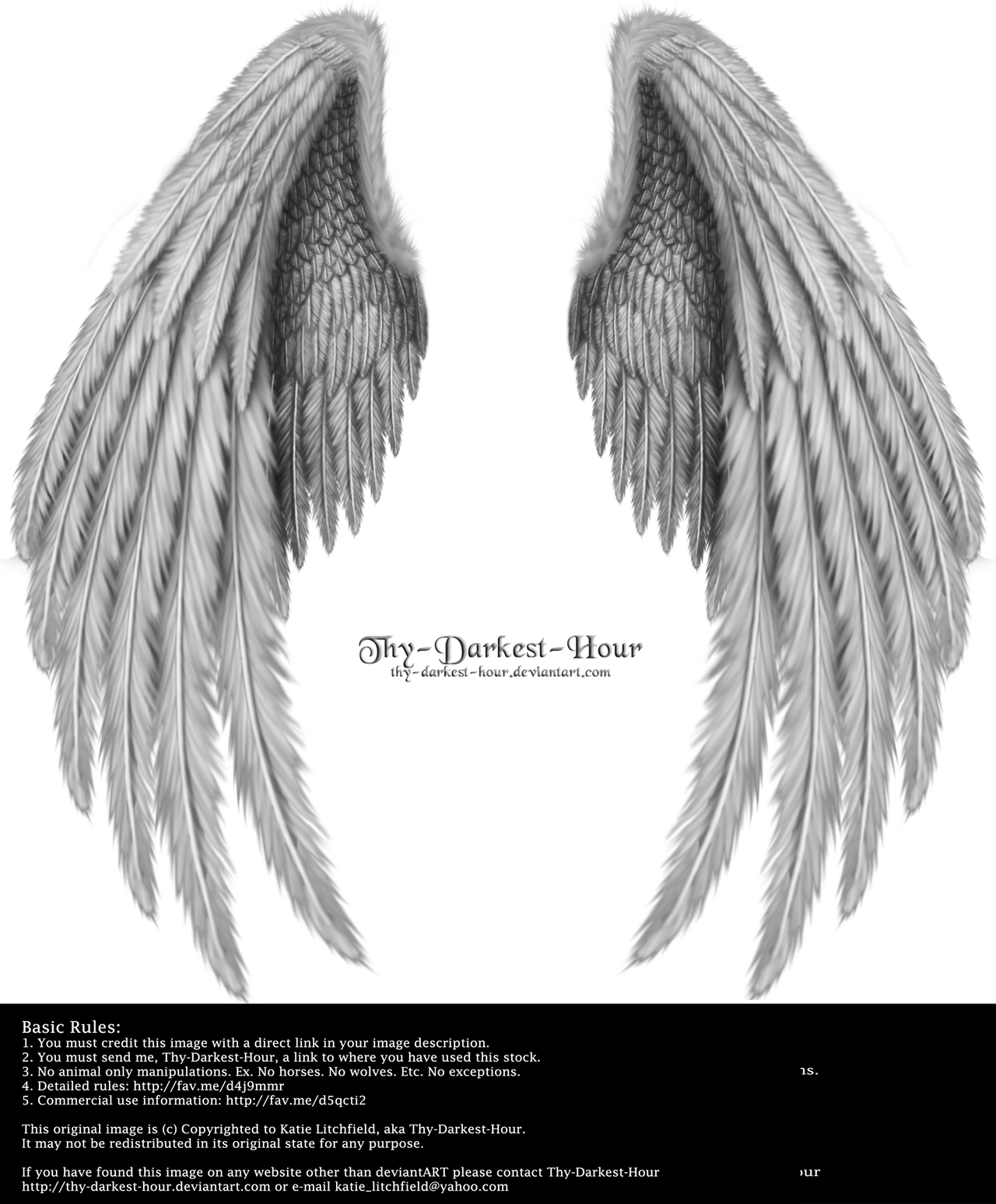 Winged Fantasy V.2 - Silver by Thy-Darkest-Hour