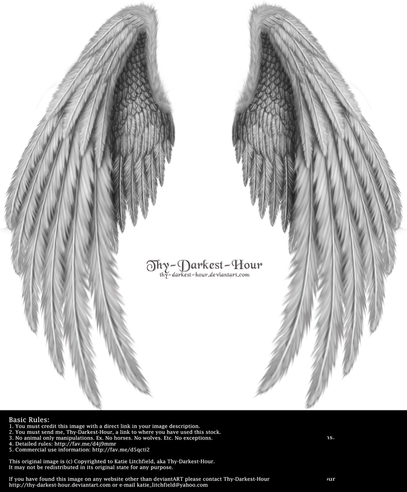 Winged Fantasy V.2 - Silver by Thy-Darkest-Hour