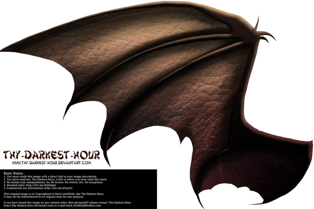 Dragon Wings 02 by Thy-Darkest-Hour