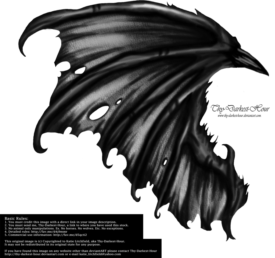 Hellraiser Wings by Thy-Darkest-Hour
