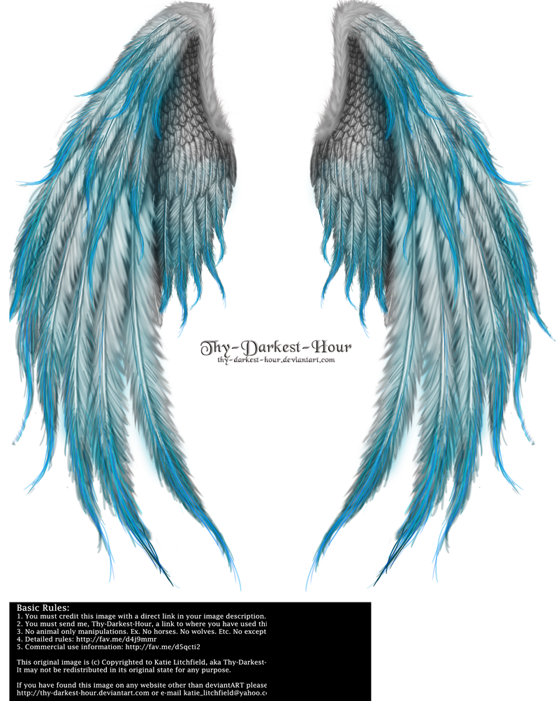 Winged Fantasy V2 - Phoenix Blue by Thy-Darkest-Hour