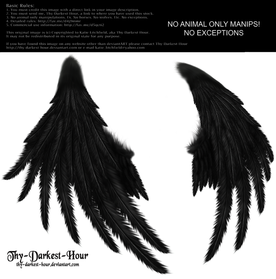 Enchantress Wings -Black by Thy-Darkest-Hour