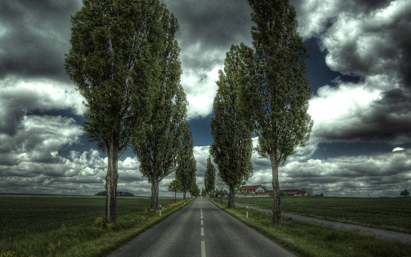 Along the Road by myINQI