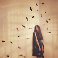 butterfly effect by oprisco