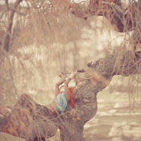 foxline by oprisco