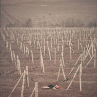 Echoes by oprisco