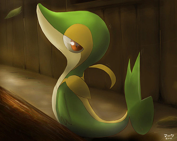 Pokemon: Snivy by mark331