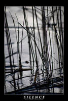 Silence by Turgoose