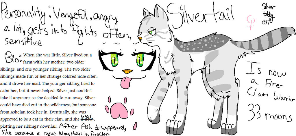 Roleplay Warrior Cat - For Use on OviPets by charizardlover4 on DeviantArt