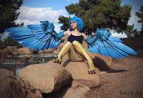 :: Papi the Harpy :: by LunaLeFey