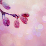 Moment to love by edyssia
