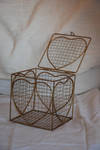 Heart Cage by StarSlateStock