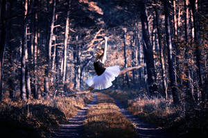 Ballet by PhotoYoung