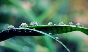 Struggles of life. by lans-bejbe