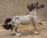 Sheza Carnival custom painted lilac roan appy by arcadian7