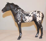 Sophie Feral Horse resin black appaloosa by arcadian7