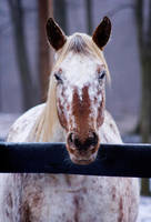 With Kind Eyes by ANBUkitsuneShinobi