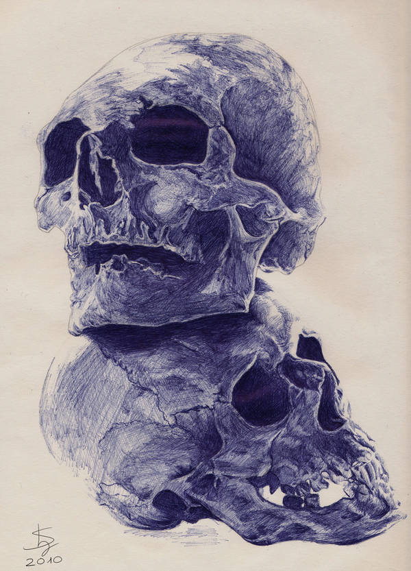 Skull by LC-Shen