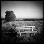 silentium by sorny