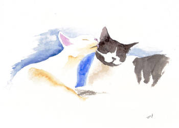 Two Cats by rod-roesler